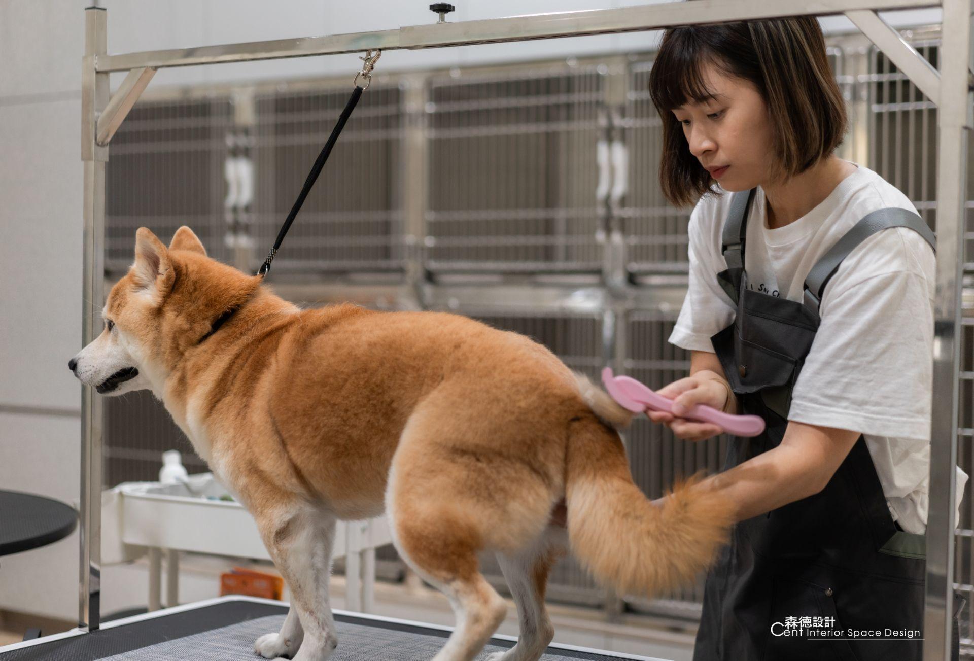 壓耳狗狗寵物專門店 Yargo Pet