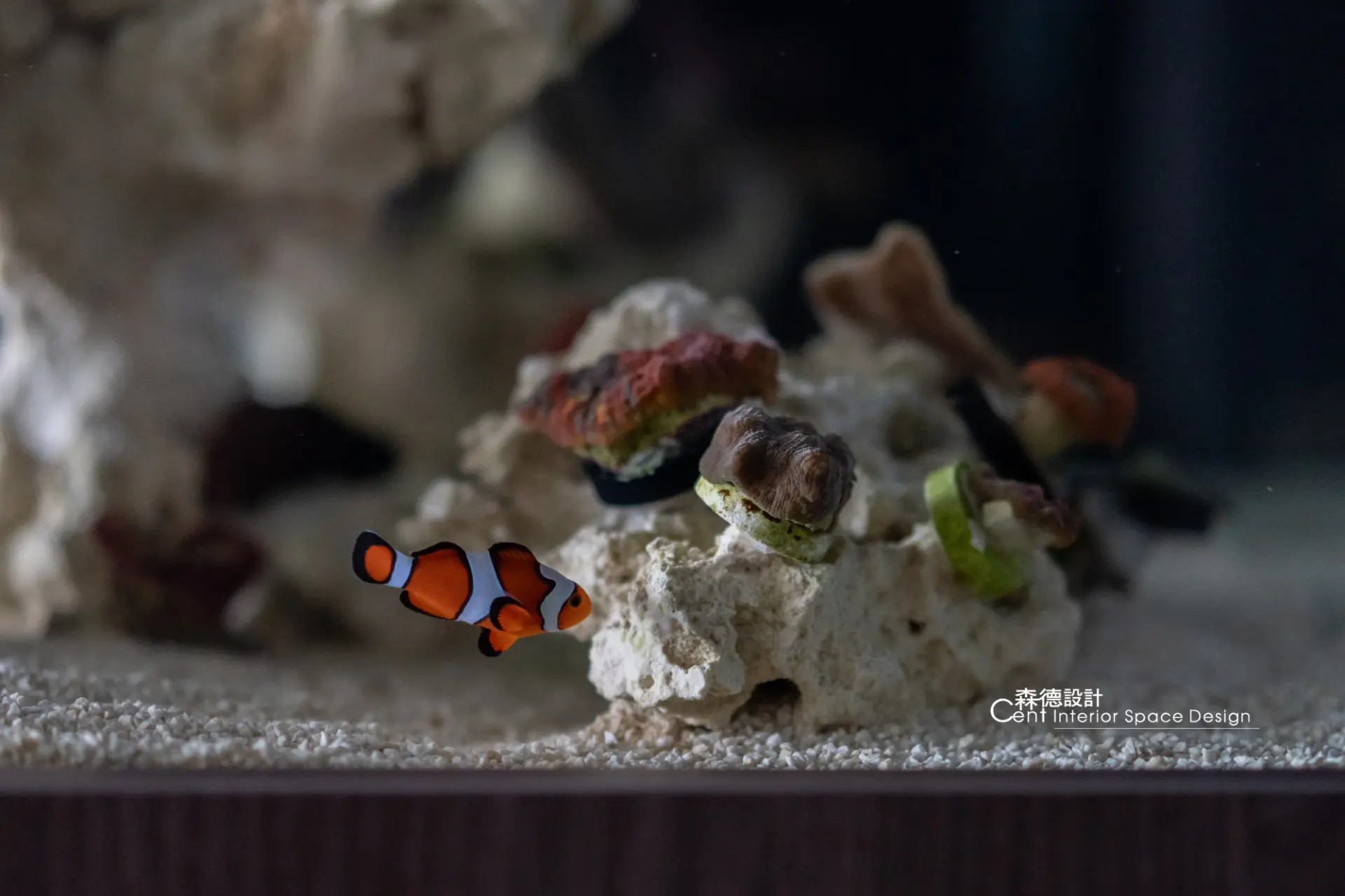 泊光
